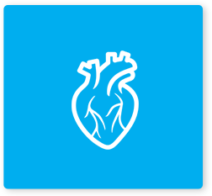 cardio