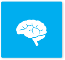 neuro-system