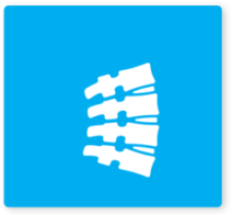 spine