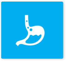 stomach