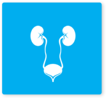 urinary-tract